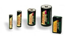 Excell alkaline, D/LR20, 2-pack 1.5 V baterijas karusēliem, riteņiem, šūpuļkrēsliņiem (2gb.) 70550
