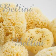 Bellini  Nat. Sea Sponge Honeycomb №8