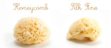 Bellini  Nat. Sea Sponge Honeycomb №12