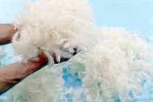La Bebe™ Feather Art.85098 Дополнительный наполнитель из 100% белых утиных перьев для подушек/одеял