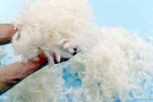La Bebe™ Feather Art.85099 additional duck feather stuffing